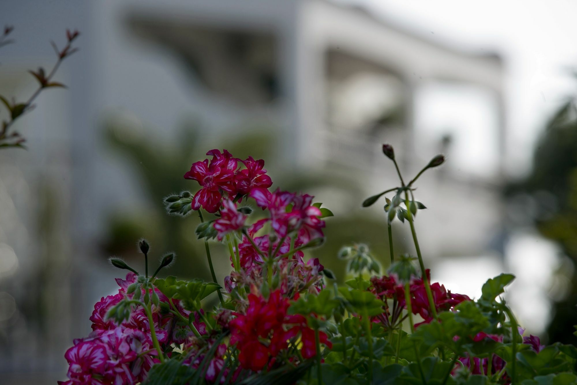 Hotel Parco Maria Terme